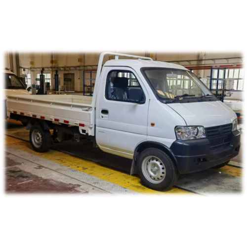 2023 NUOVE AUTO AUTO VANUS ELETTRICA VAN 4 Ruota a basso contenuto di auto a basso costo per auto elettriche per adulti in vendita